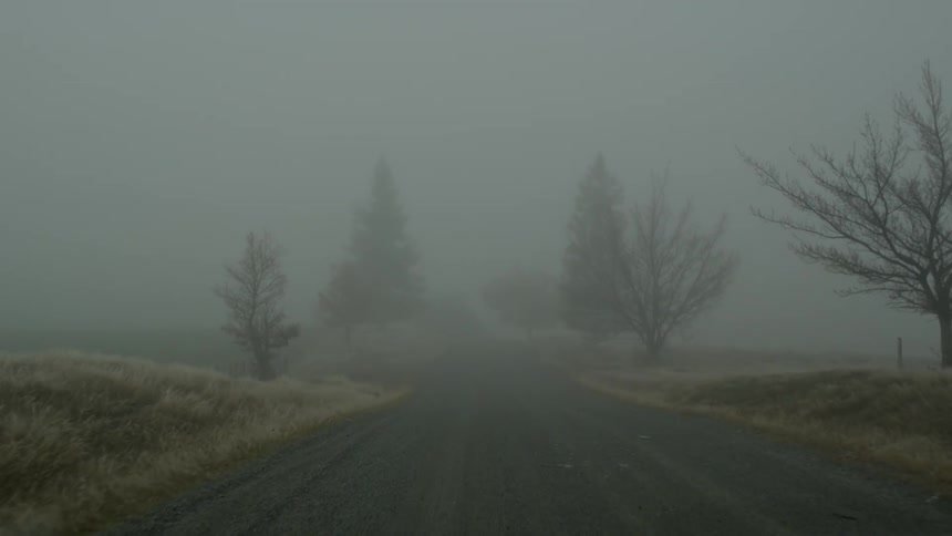A road is traveled down on a foggy day