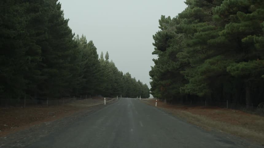 A street where someone is steadily traveling it