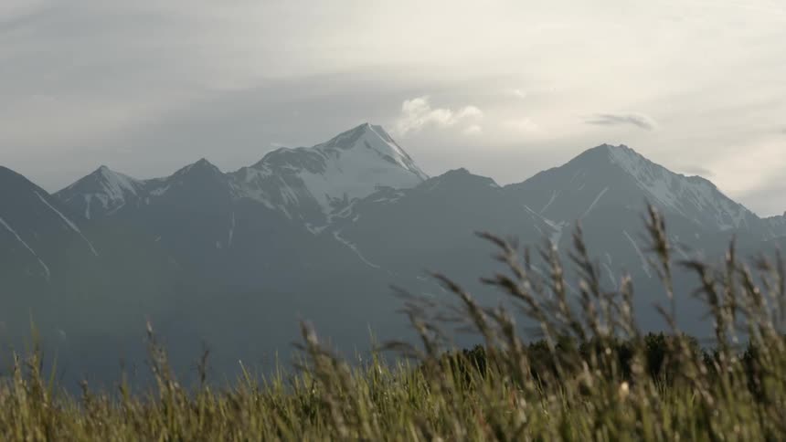 Grass blowing in front of a mountain on a cloudy day