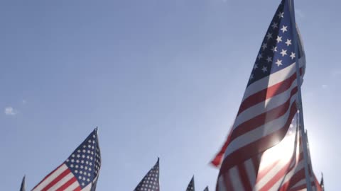 Many american flags blowing in the wind