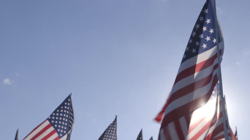 Many american flags blowing in the wind