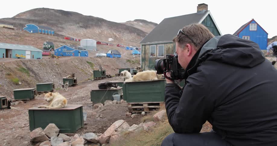 A man photographs dogs resting on top of their dog houses