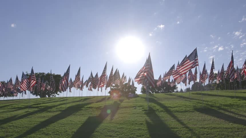 A bunch of american flags billow in a sunny field
