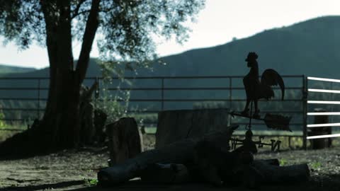A weathervane sways in the wind on a farm