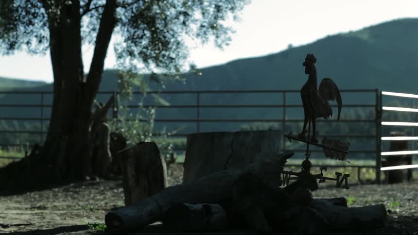 Weathervane spinning slowly in front of a corral