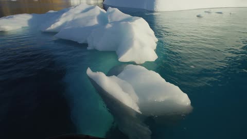 Icebergs are floating in the water near a shoreline