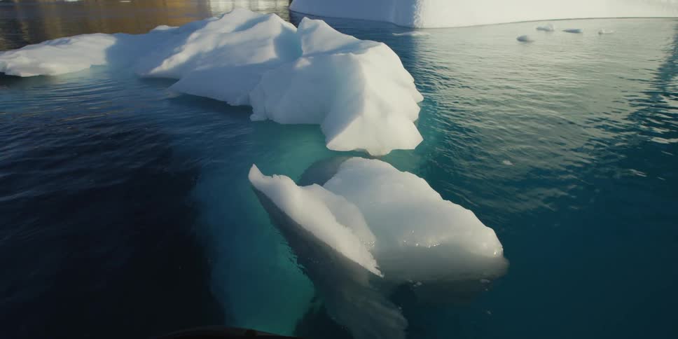 Icebergs are floating in the water near a shoreline