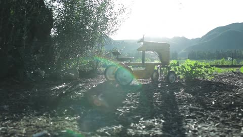 A toy tractor on a farm on a sunny day