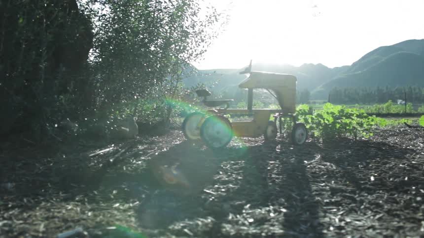A toy tractor on a farm on a sunny day