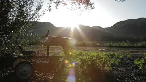 A farm or country landscape with the sun rising in the background and a toy tractor in the foreground