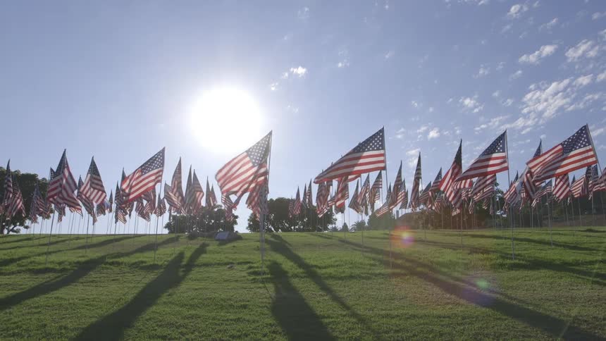 A large number of american flags billow in the wind