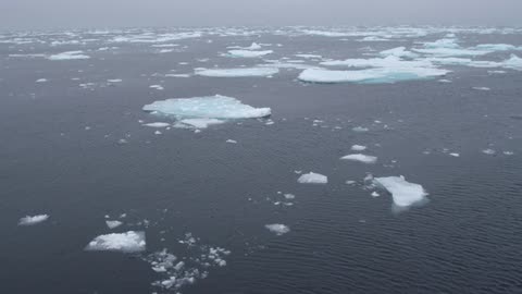 Ice floats in the cold ocean