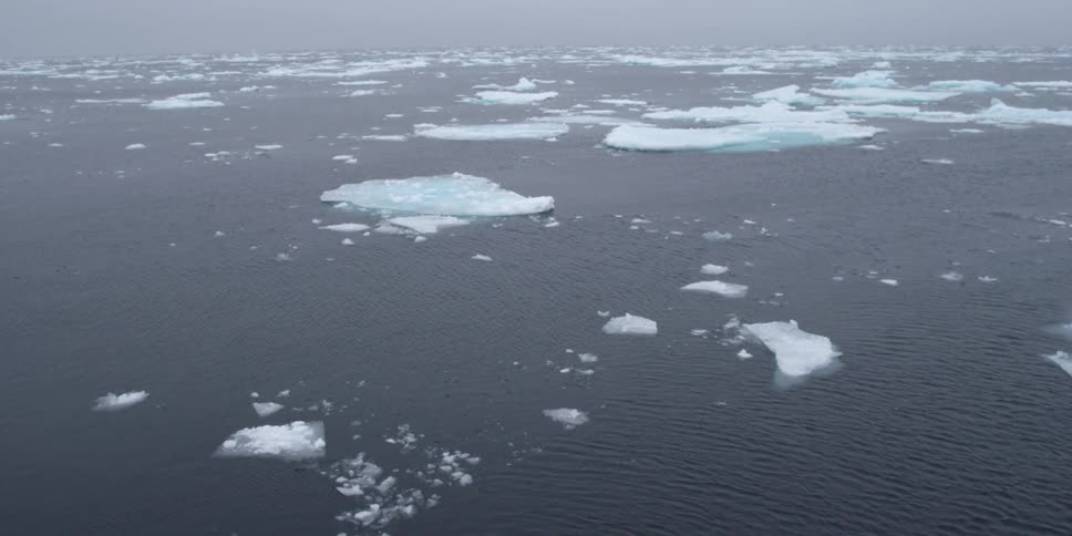 Ice floats in the cold ocean