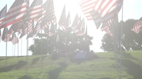 Flags blow in the wind on a sunny day