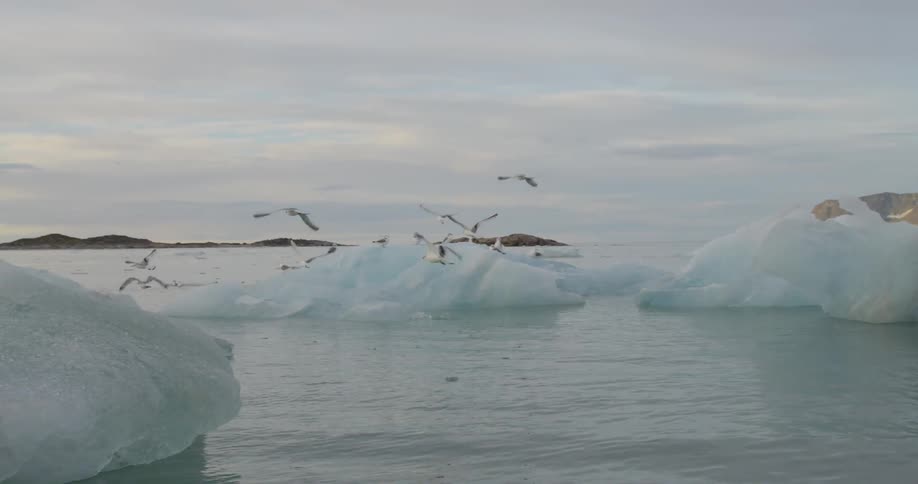 Birds fly away from a big chunks of ice in the ocean