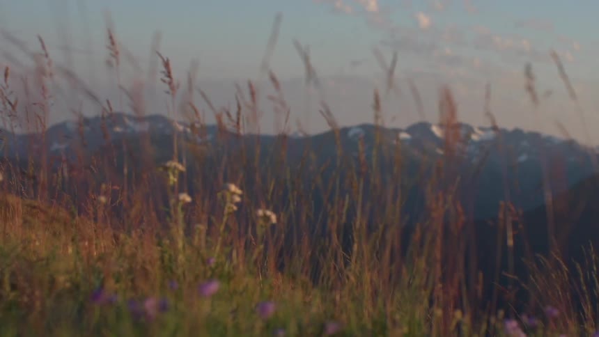 A scenery of a grass field and mountain range