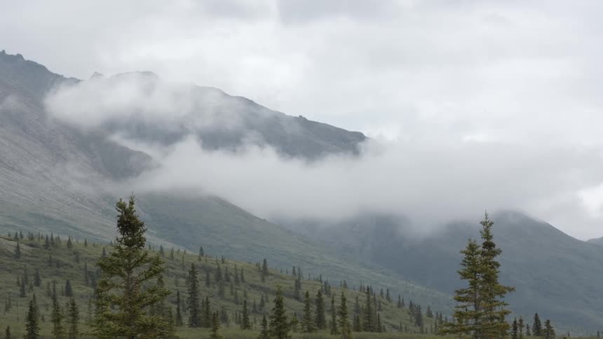 Clouds float over a mountain and pine trees