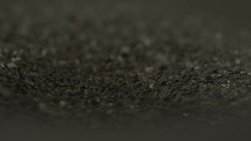 Insects moving and wriggling in the mud