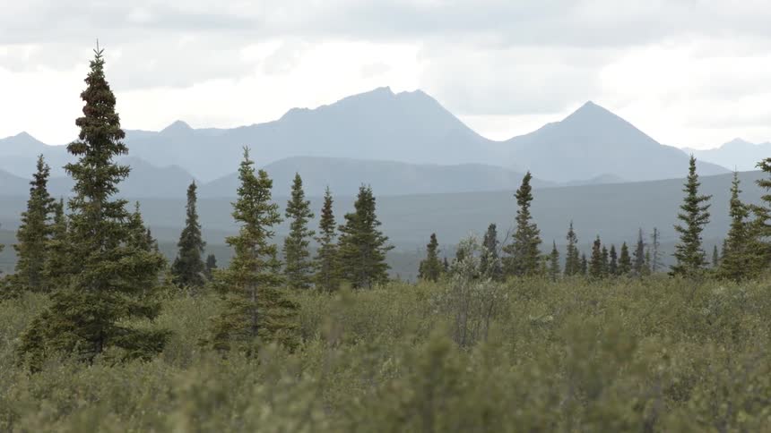 A mountain range in the distance on an overcast day
