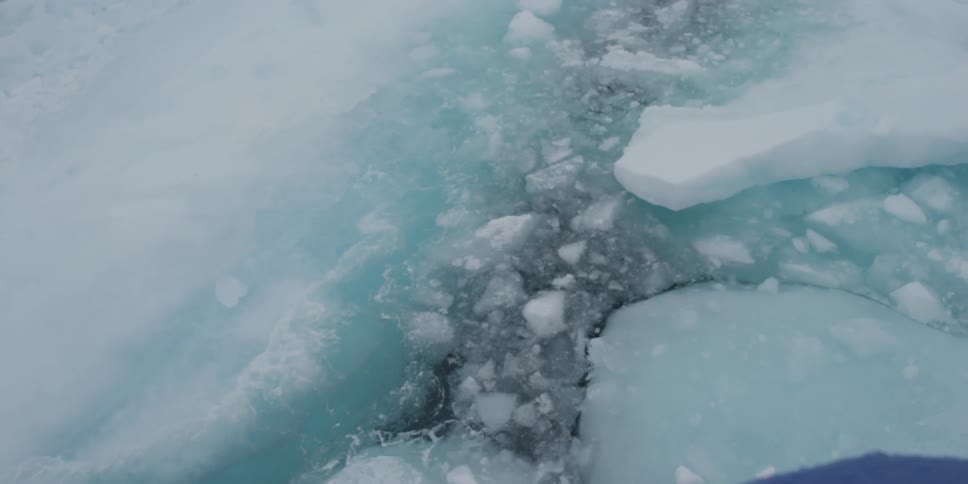 Chunks of ice float in the ocean