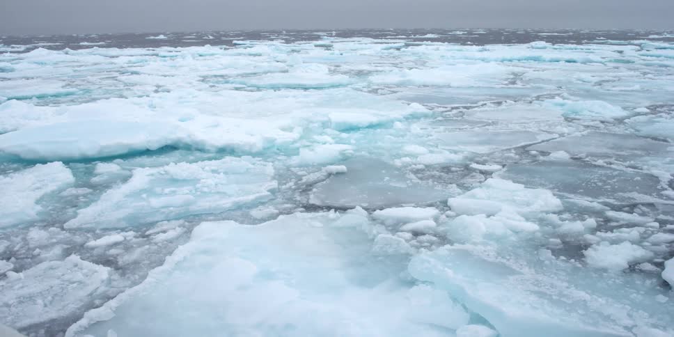 Slabs of ice floating on the water