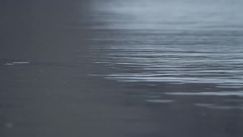 Calm water on a sunny day