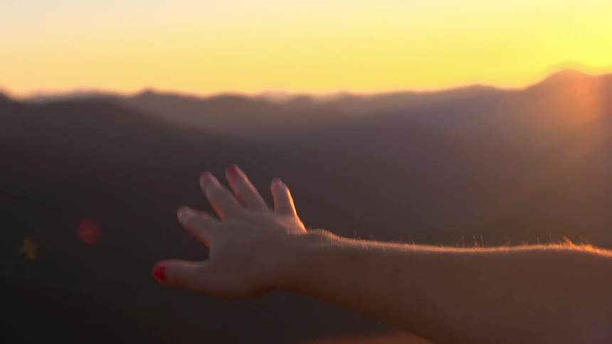 A person holding out their hand