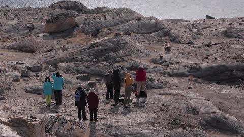 People hiking on some rocks as an animal runs away