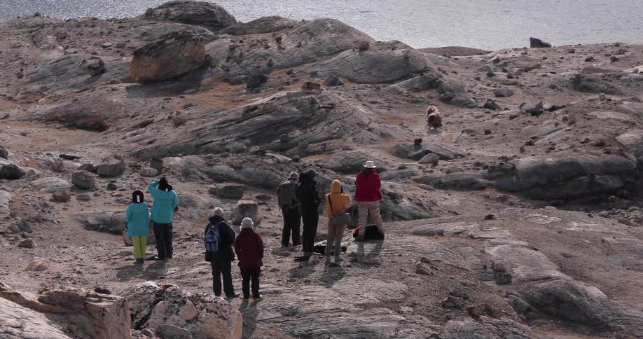 People hiking on some rocks as an animal runs away