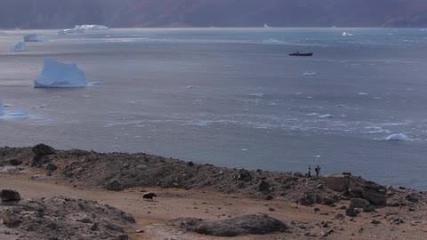An arctic coast with an animal running and two people standing facing the water
