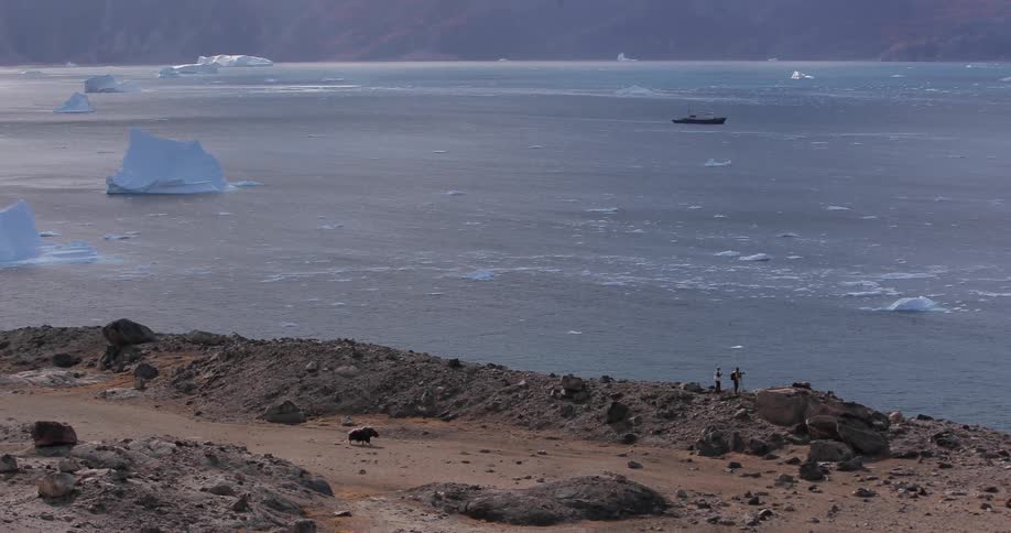 An arctic coast with an animal running and two people standing facing the water
