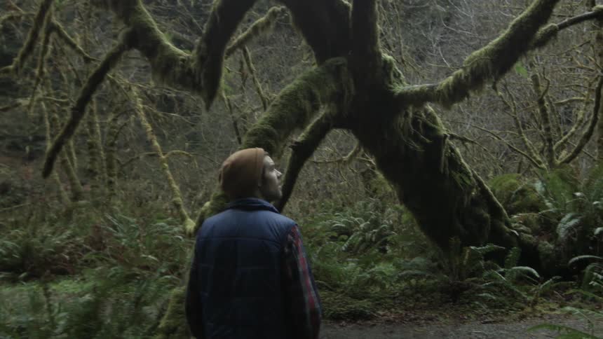 A man walks through a forest in the daytime