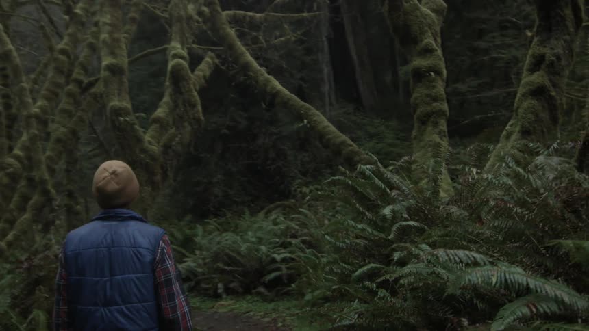 A man walks through the woods