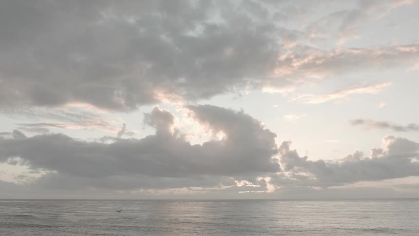 A bird flying over an ocean under a cloudy sky at dusk