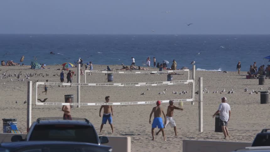 The beach with people lounging and playing volleyball, seagulls flying around, and the ocean waves producing whitecaps