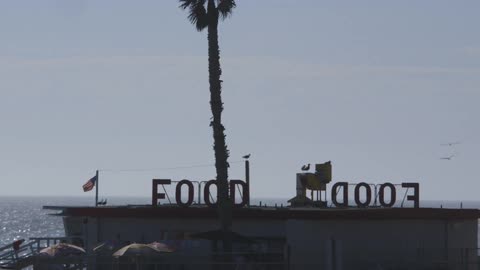 Birds flying over a restaurant next to the sea