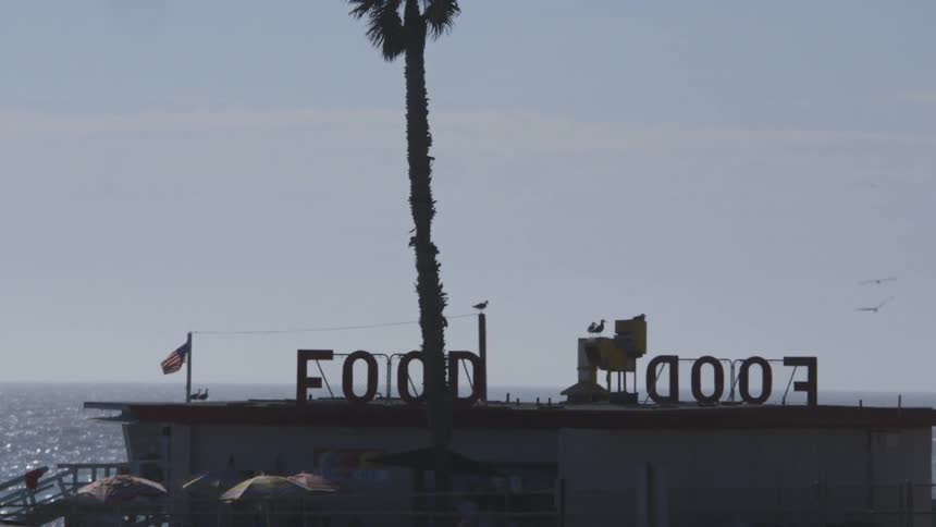Birds flying over a restaurant next to the sea