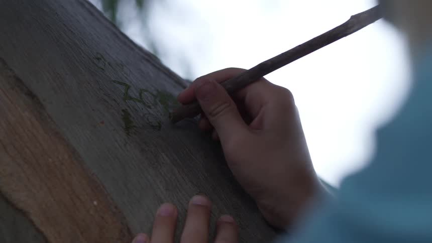 A person carving words into a tree during the day