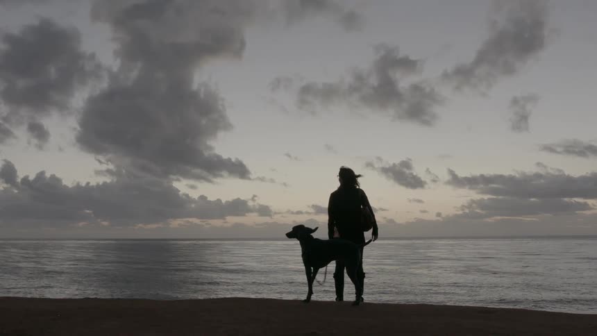 Woman walking her dog by the beach at sunset