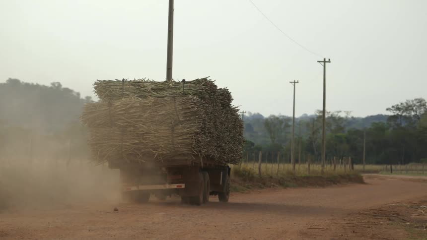 A truck full of sugar cane drives down a dirt road