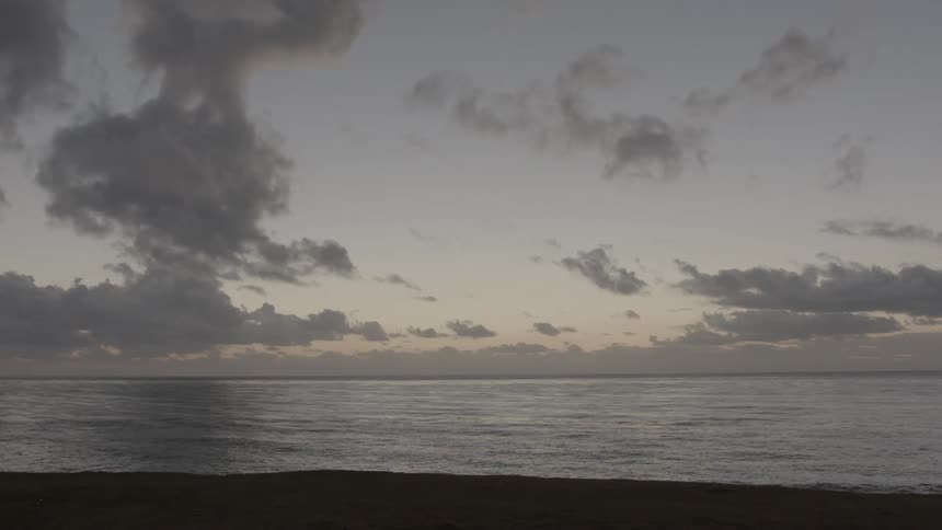 A woman and her dog on the beach