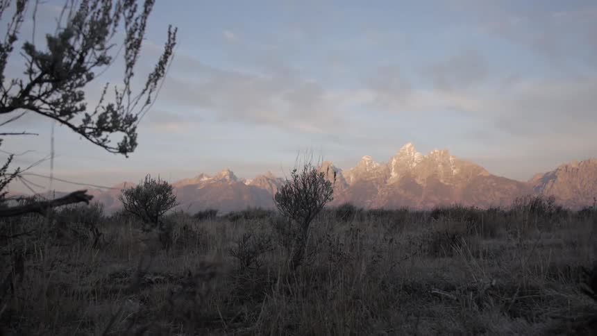 Field of grass and weeds with large mountain in the distance
