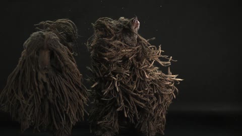 Dogs with long hair shaking back and forth in a dark area