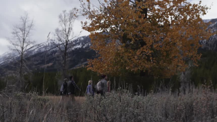 People walking through a field as snow-capped mountains loom in the background