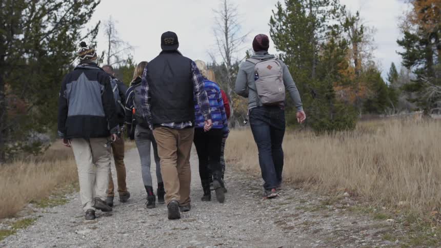 A group of people walk through the woods