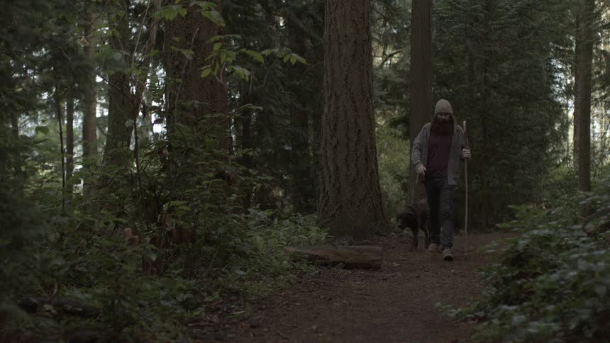 A man and his dog are walking in the forest