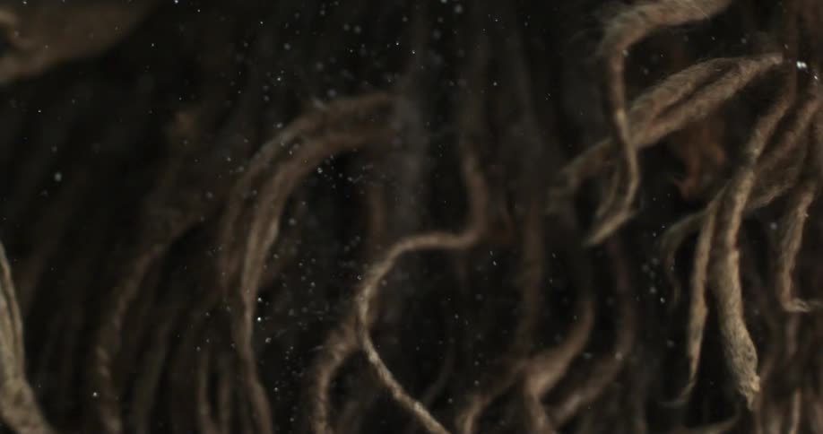 An abstract view of dreadlocks floating under water in slow motion