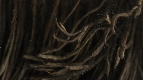 Water is shaken from hair in slow motion