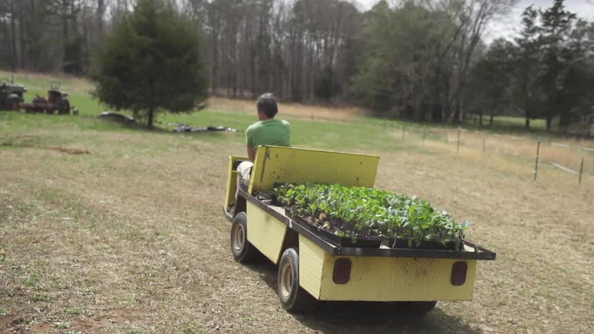Woman in a green shirt driving a truck with plants