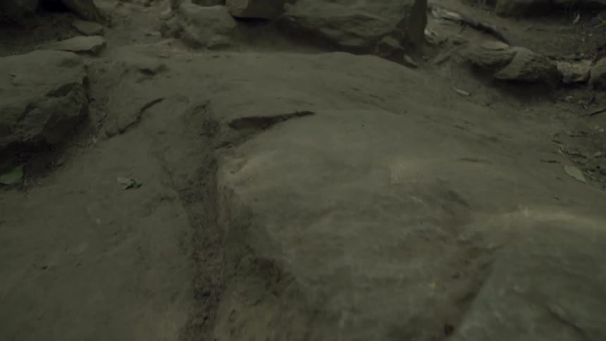 Rocks and boulders line a dirt path